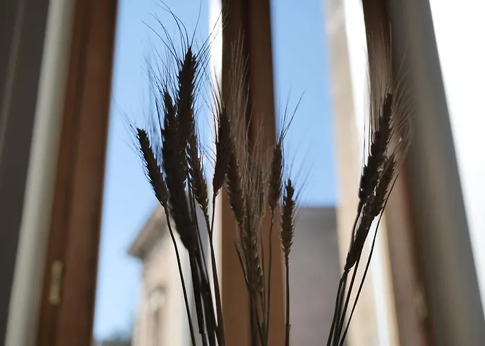 Dimora San Giuseppe לינה וארוחת בוקר