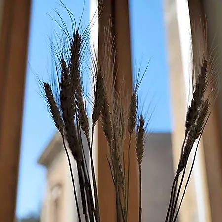 B&B Dimora San Giuseppe 레체